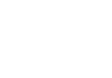 coinsillium logo